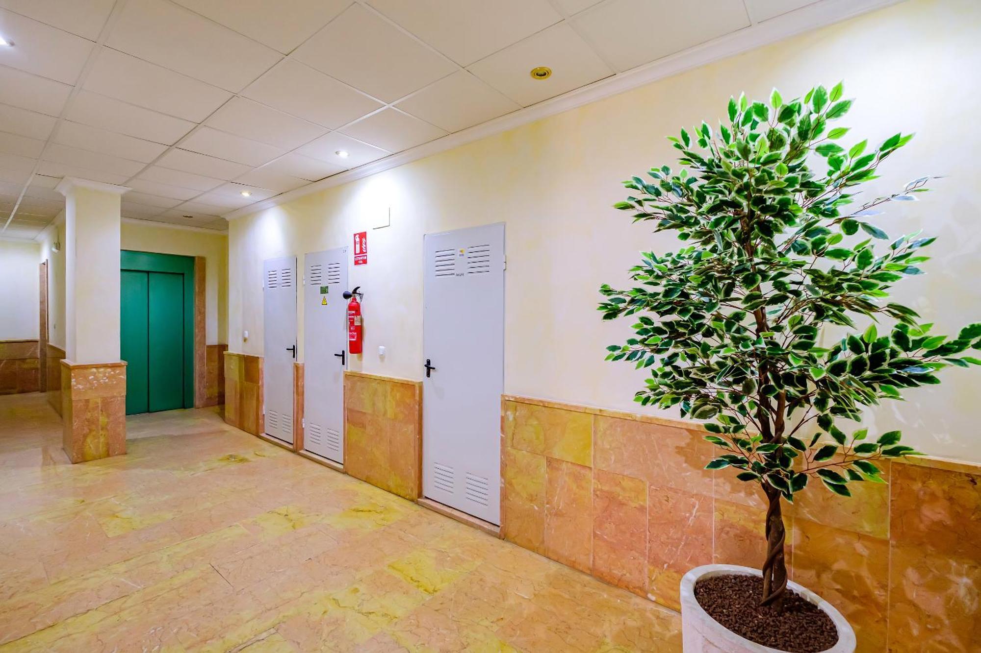 Deluxe Apartment Playa Del Cura Торрев'єха Екстер'єр фото